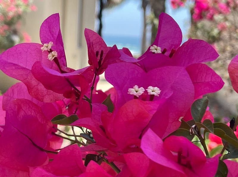 Image Representation Of AI working through search results